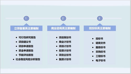 黔西軟件開發企業商業計劃書成功范本與本地專業機構推薦