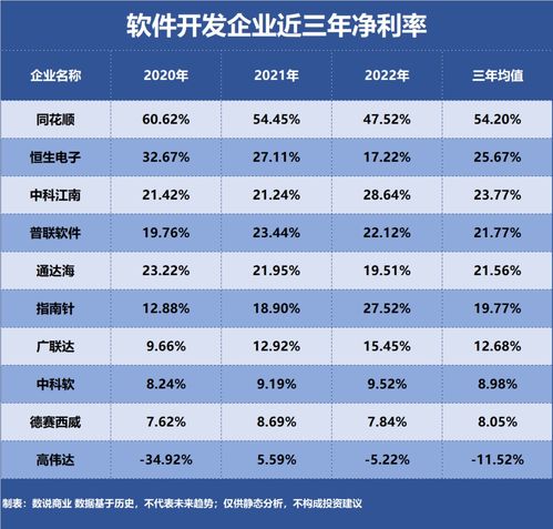 軟件開發行業盈利最強企業深度解析