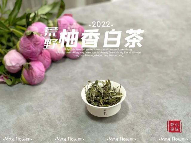 白茶算什么檔次（白茶女裝屬于幾線品牌）