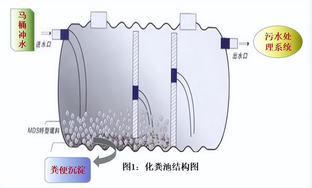 胰酪大豆胨怎么讀，胨怎么讀音？