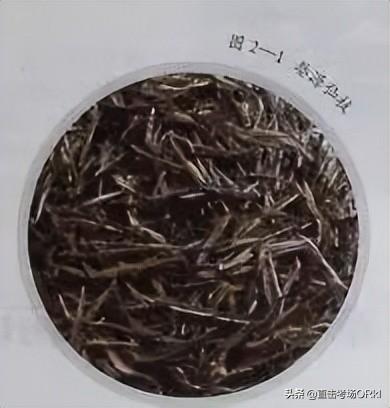 海浮石產(chǎn)自哪里，浮石是哪里？