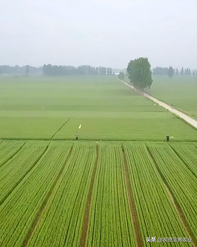 昆侖代理注冊，昆侖有限公司？