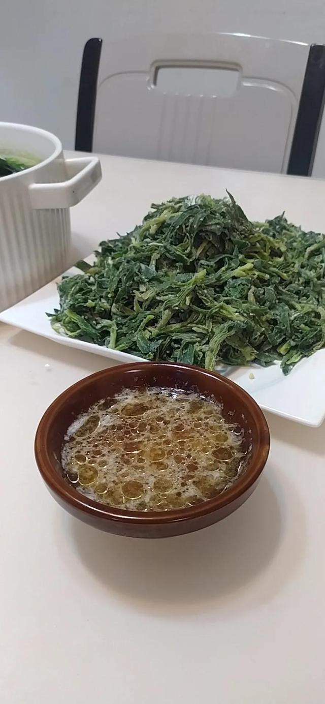 面條菜學(xué)名叫什么，面條菜的功效與作用及禁忌？