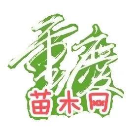 水生植物批發(fā)種植基地在哪里，水生植物批發(fā)種植基地地址？