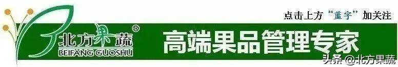 果樹苗批發(fā)基地三年苗各種苗大全價(jià)格，哪里有果樹苗批發(fā)基地？