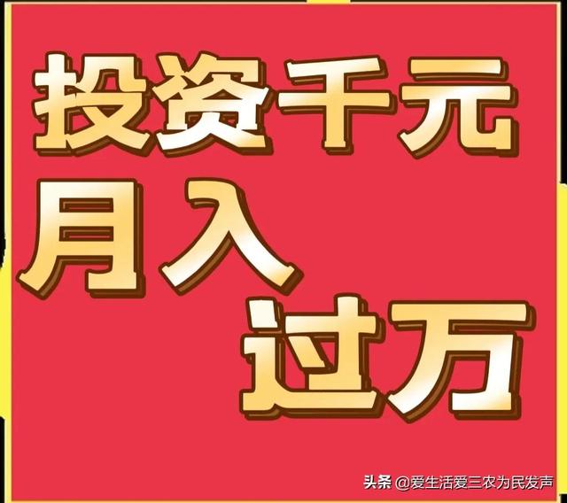 跑江湖地攤新產(chǎn)品，跑江湖地攤新產(chǎn)品怎么做