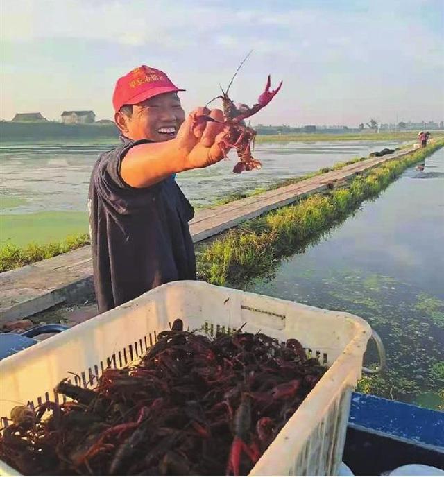 在家做手工貨源從哪找許昌有沒有，許昌手工活外發(fā)_廠家怎么找