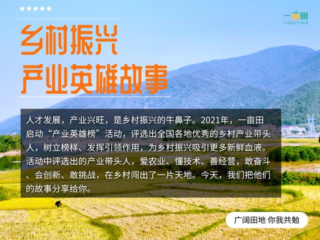 批發(fā)葡萄苗在哪里買(mǎi)，批發(fā)葡萄苗在哪里買(mǎi)好？
