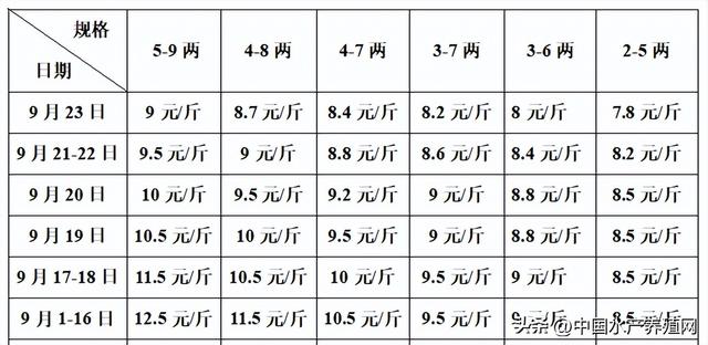 牛蛙批發(fā)價(jià)多少錢一只，牛蛙多少錢一斤市場(chǎng)價(jià)格？