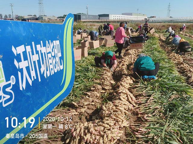 南寧肥料批發(fā)市場，南寧肥料廠家？