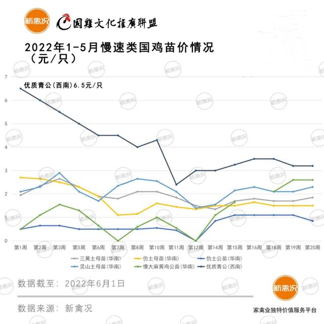 土雞苗批發(fā)市場(chǎng)在哪里，土雞苗批發(fā)市場(chǎng)在哪里的？