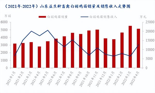 種禽龍頭4月銷(xiāo)售收入大幅上漲，白羽雞苗5月市場(chǎng)行情急轉(zhuǎn)直下