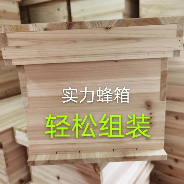 蜂箱怎么賣，哪里有蜂箱賣,多少錢一個(gè)？