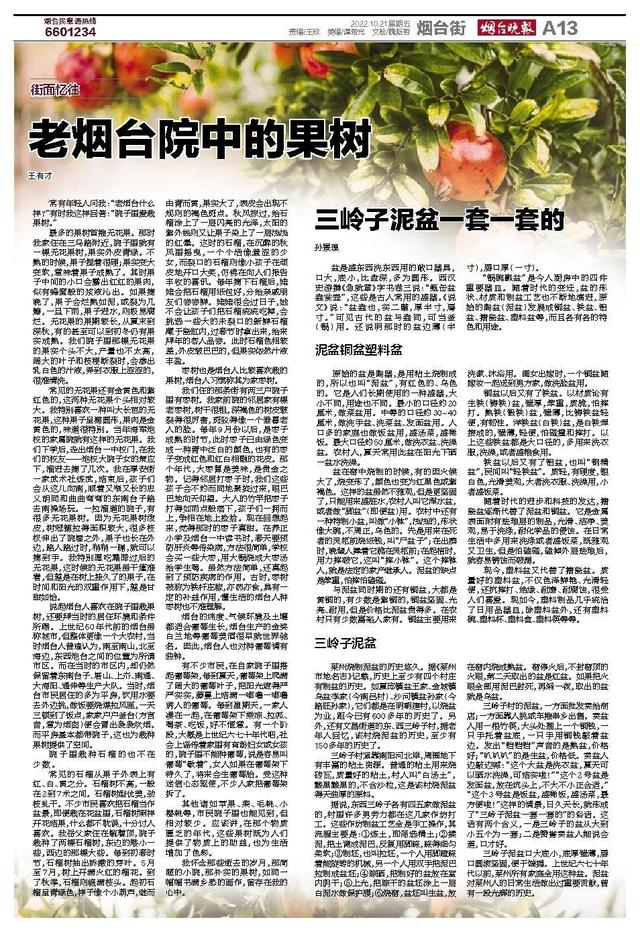 花盆批發(fā)哪里最便宜，盆栽花卉基地批發(fā)哪里最便宜？