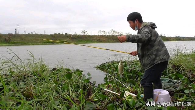 草花批發(fā)市場進貨渠道，北京批發(fā)水草市場？