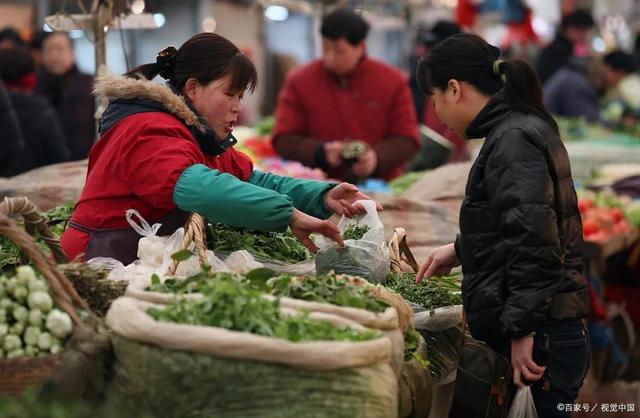 菜市場(chǎng)賣菜一天能賺多少錢，賣什么青菜掙錢？