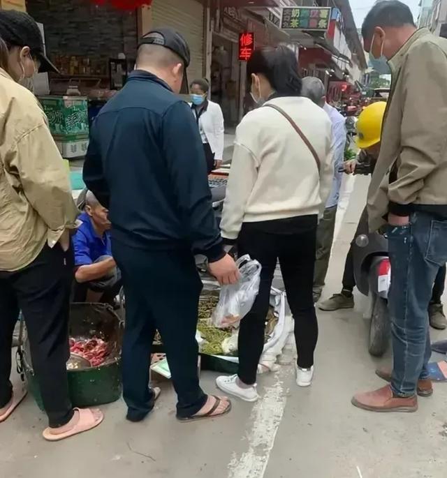 水草批發(fā)市場進貨渠道在哪里，水草商家進貨渠道？