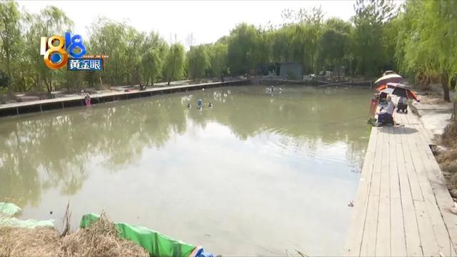 淘寶海帶路亞是正品嗎，淘寶上的貨源？