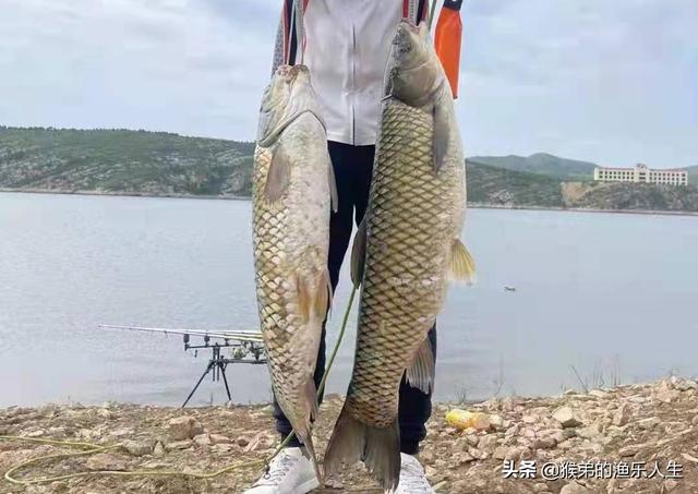 德州釣組釣法，德州釣組控餌手法？