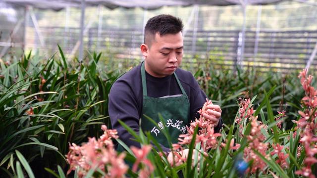 淘寶拼多多熱銷朝蘭貨源拿貨是真的嗎，淘寶拼多多熱銷朝蘭貨源拿貨是真的嗎安全嗎？