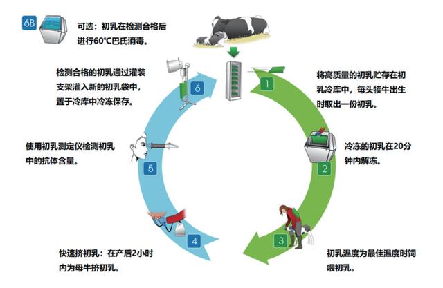 淘寶拼多多熱銷犢牛服貨源拿貨是真的嗎可信嗎，淘寶上賣牛犢是真的嗎？