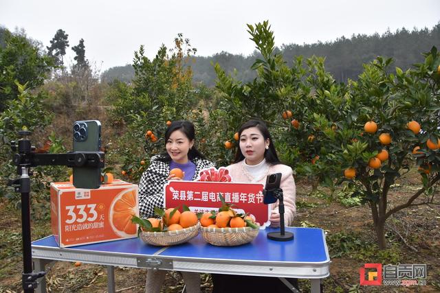 四川年貨直播電商貨源網(wǎng)，四川年貨直播電商貨源網(wǎng)站？