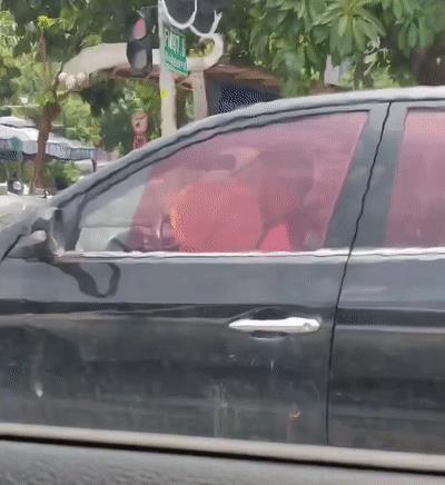 淘寶拼多多熱銷葵扇子貨源拿貨是真的嗎，葵扇子多少錢一斤？